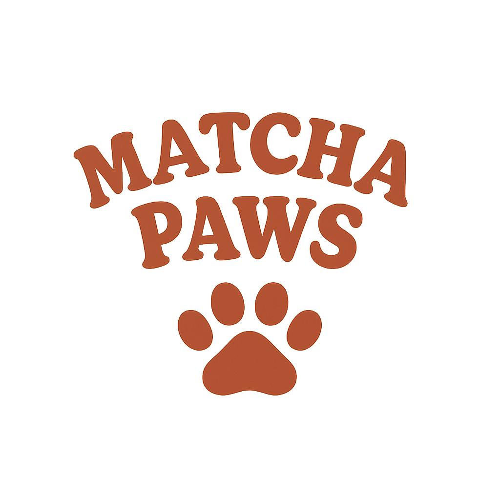 Piko Matcha Set – Fun Ceremonial Matcha Kit for Everyday Use | Matcha Paws