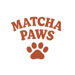 Shiro Matcha Set – Cozy Ceremonial Matcha Starter Kit | Matcha Paws